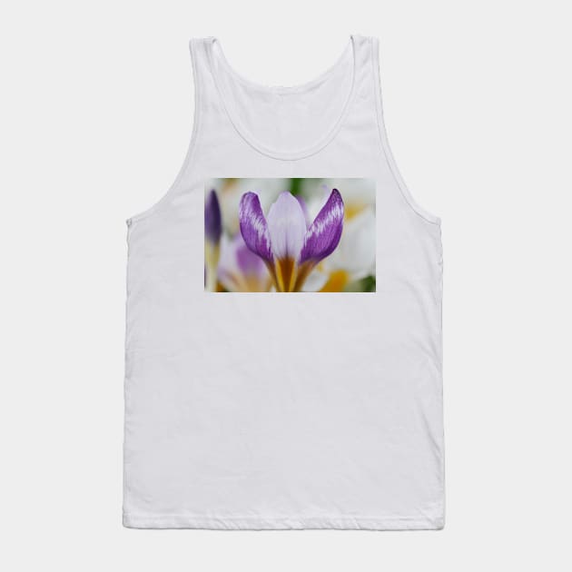 Crocus sieberi  &#39;Hubert Edelsten&#39;   AGM Tank Top by chrisburrows